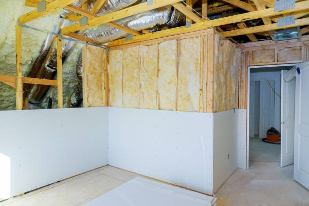Best Insulation Maintenance and Repair in Milam, TX